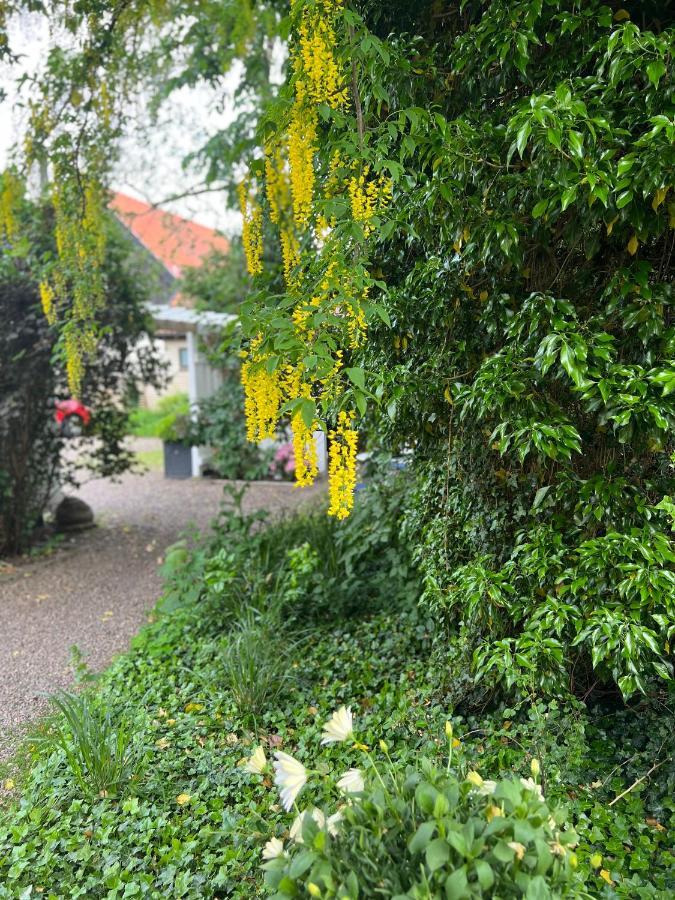 Solhaga Kullahalvoen Villa Jonstorp Kültér fotó